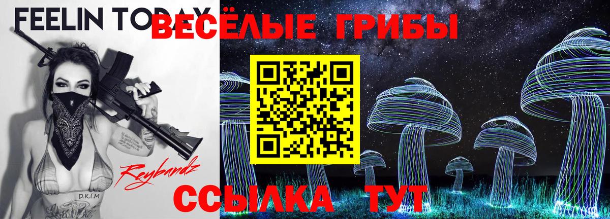 Псилоцибиновые грибы Cubensis  Вход с VPN  Шебекино 